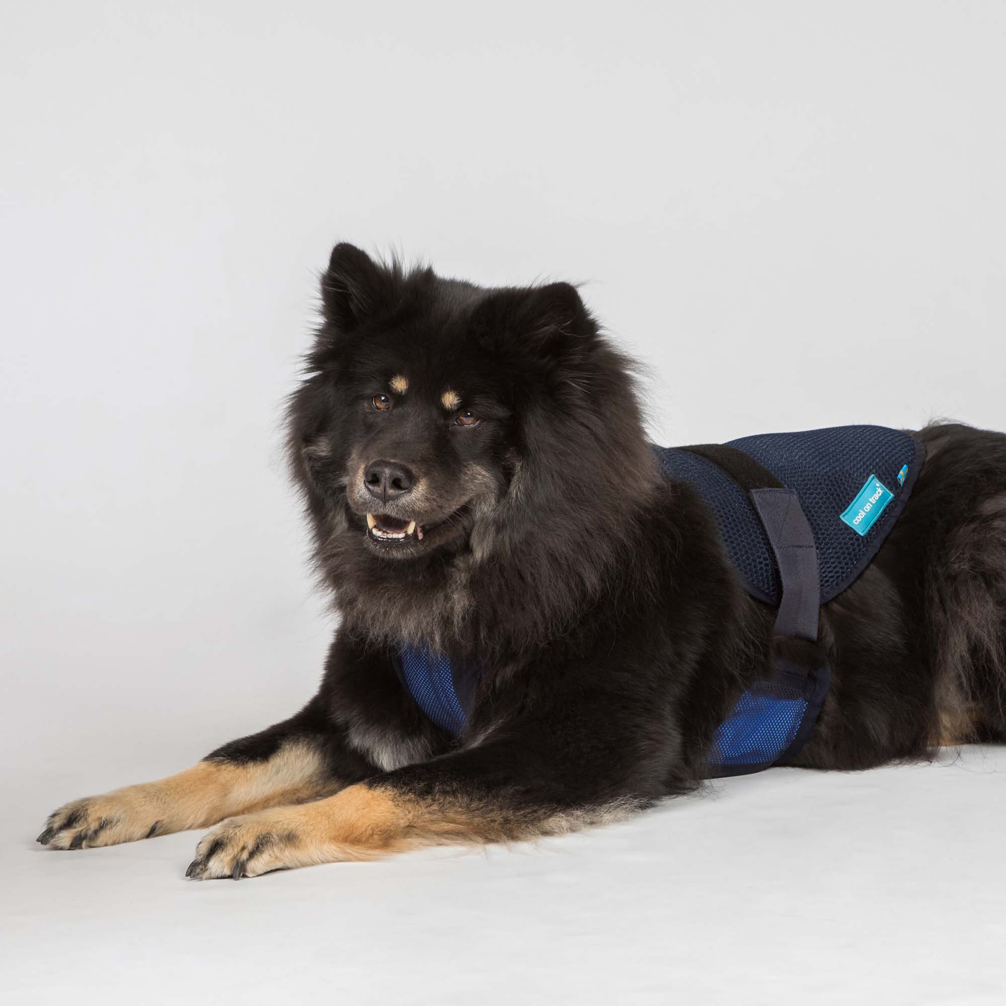 Cool on Track Cooling Harness - 6