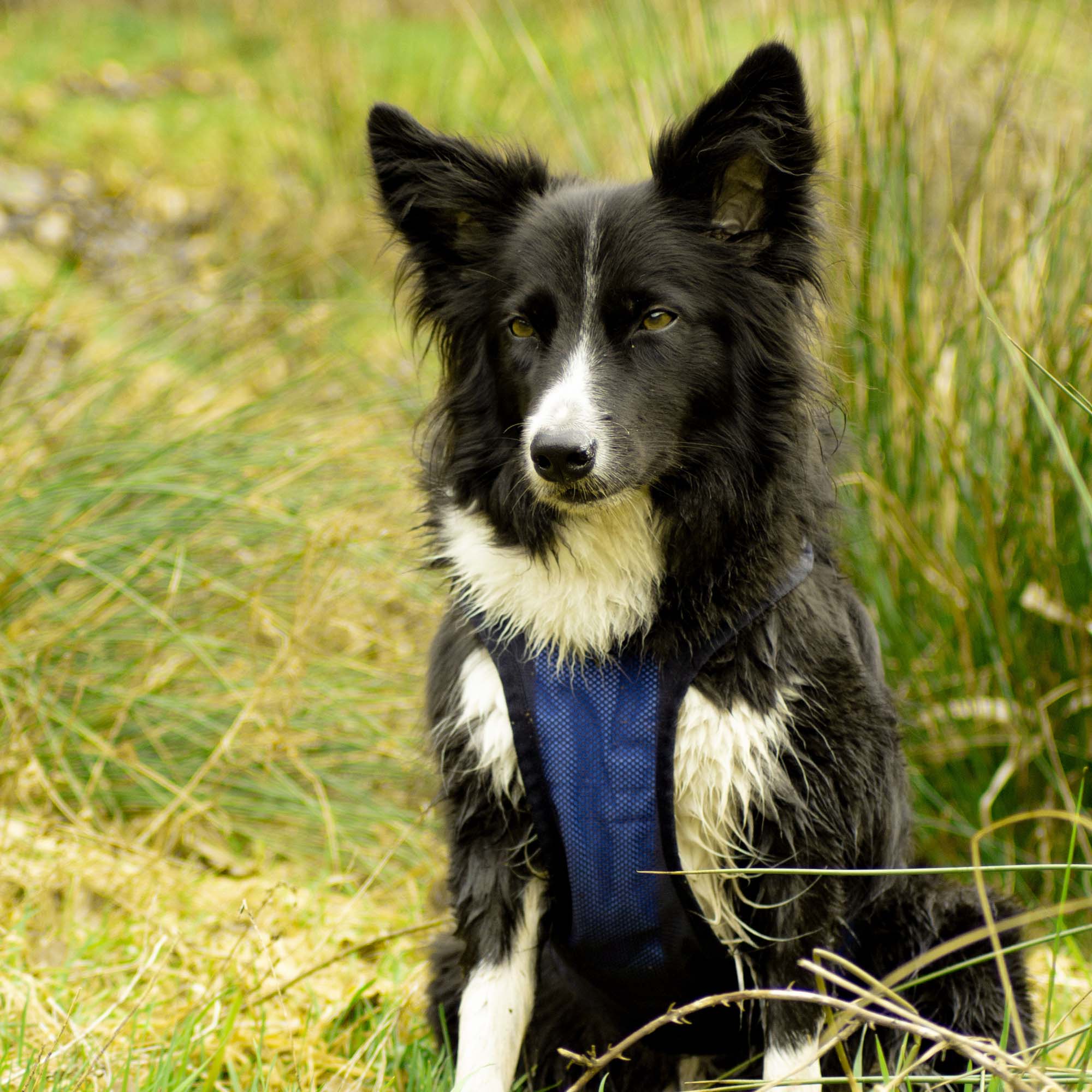 Cool on Track Cooling Harness - 9