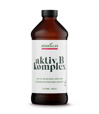 Aktiv B Komplex 500 ml