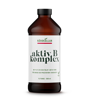 Aktiv B Komplex 500 ml