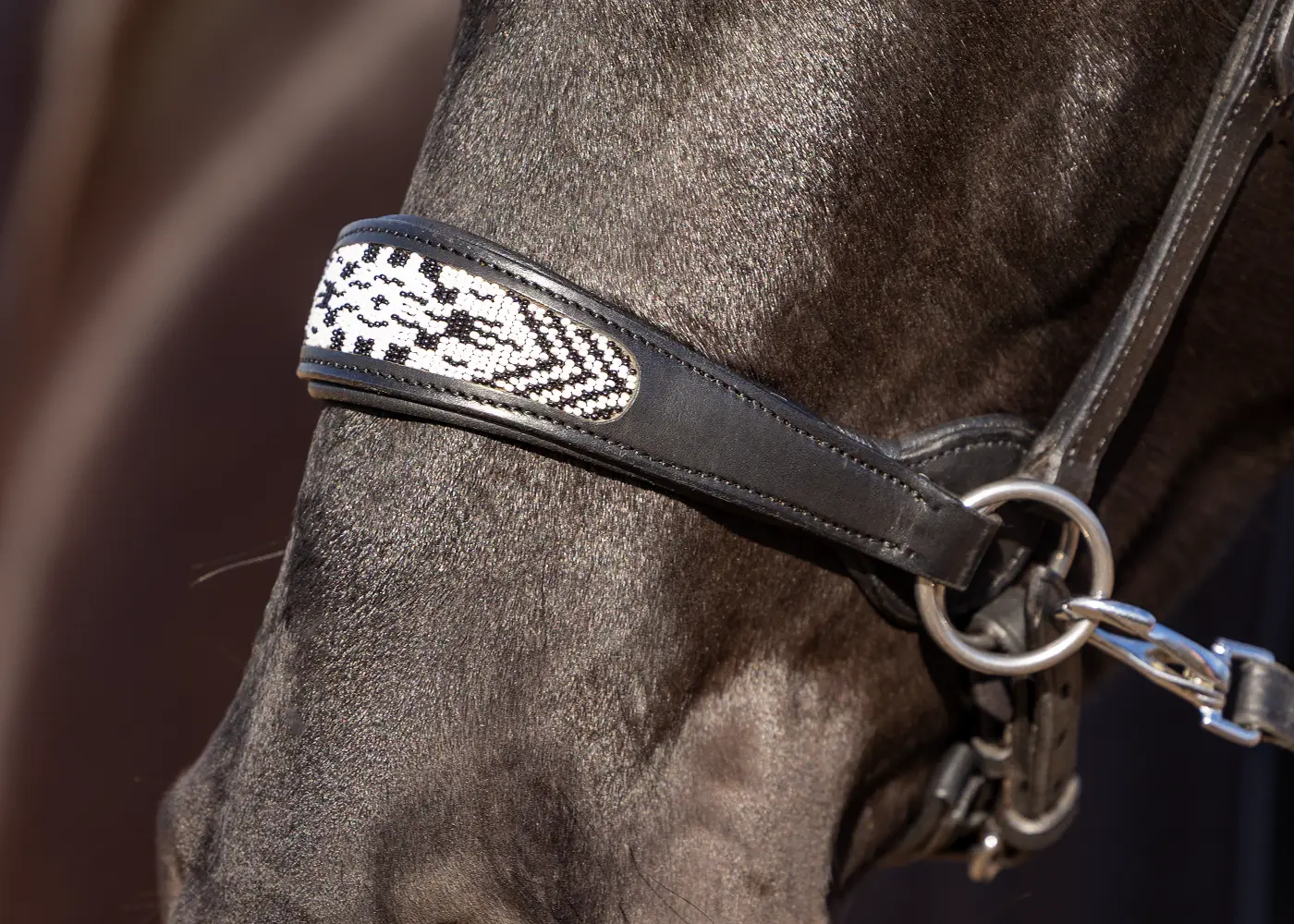 Sidepull Anatomical, Edix© Brightstar black - 2