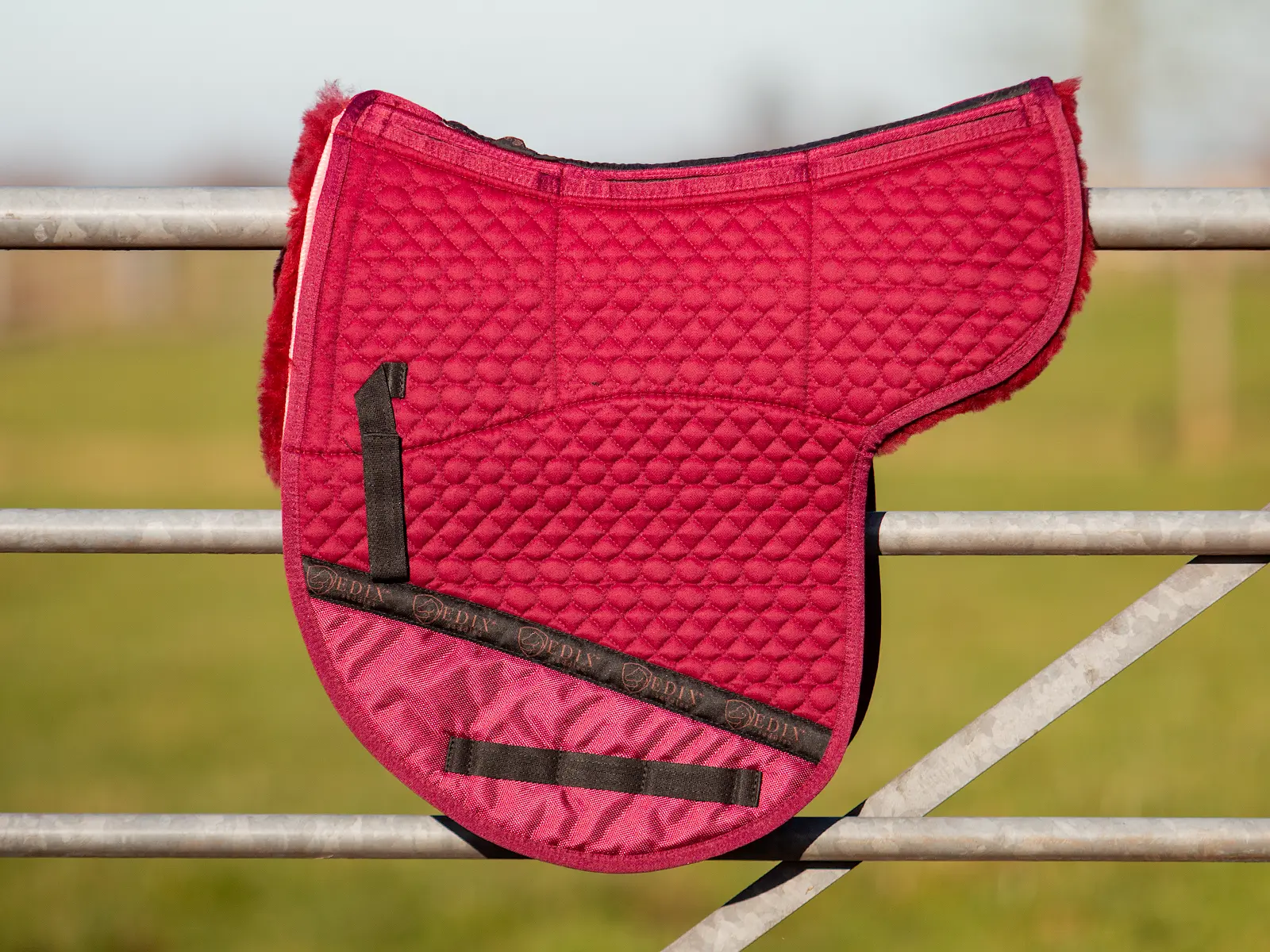 EDIX DR Contour 8-pocket Merino pad - 10