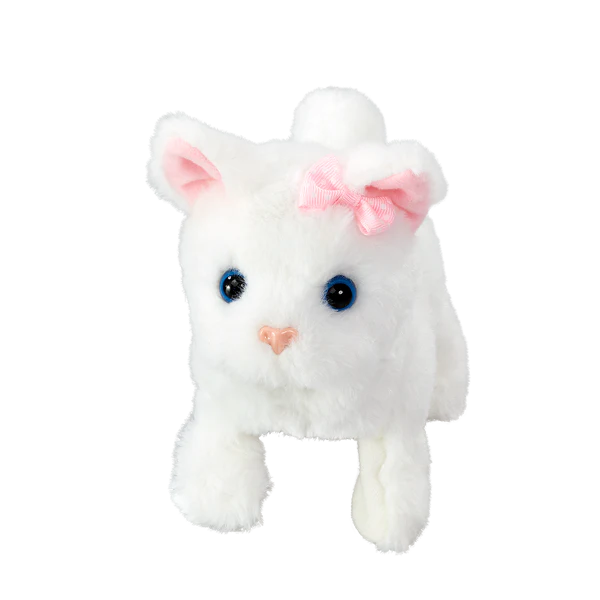 Pretty Little Kitty, 1 st - 2