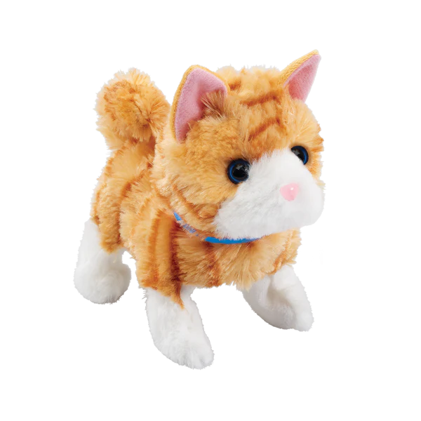 Pretty Little Kitty, 1 st - 3