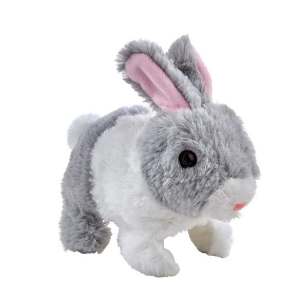 Teeny Weeny Bunny, 1 st - 4