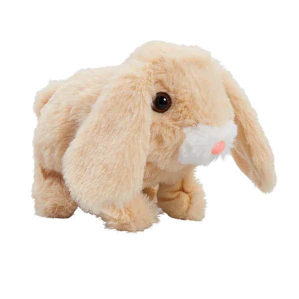 Teeny Weeny Bunny, 1 st - 3