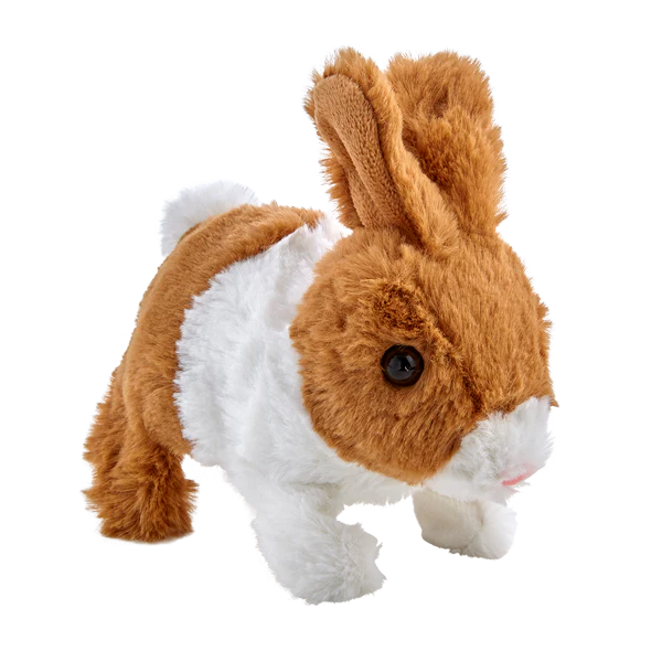 Teeny Weeny Bunny, 1 st - 5