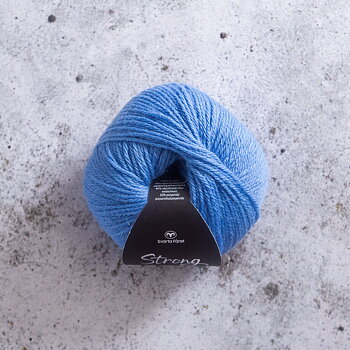 Strong Hydrangea Blue 087