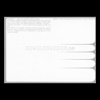 SKOGSFRUN  No: 207 - 1-207-0 Konstkort Rolf Lidberg Vykort A6 - 914