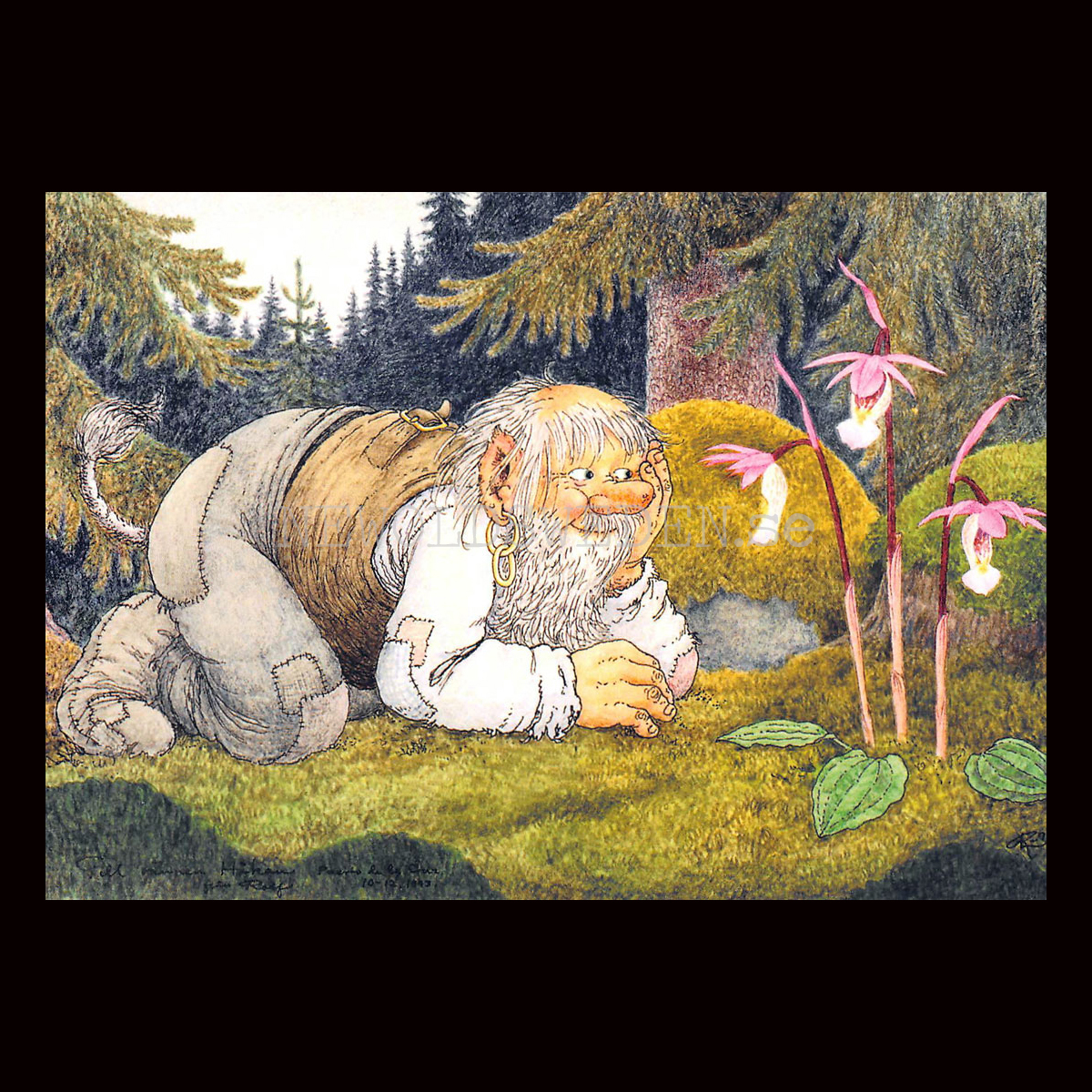 BOTANISTEN  No: 223 - 60223- Trollkort Rolf Lidberg Vykort A6 - 914