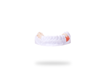 Detax Freeprint Gingiva 1000 g