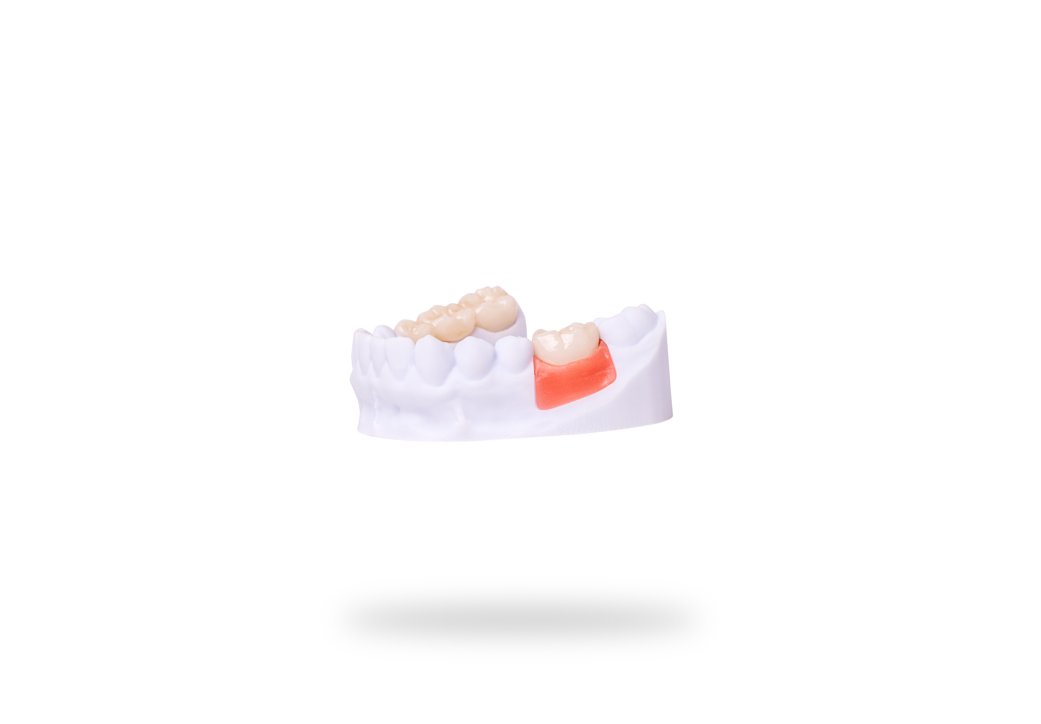 Detax Freeprint Gingiva 1000 g - 3