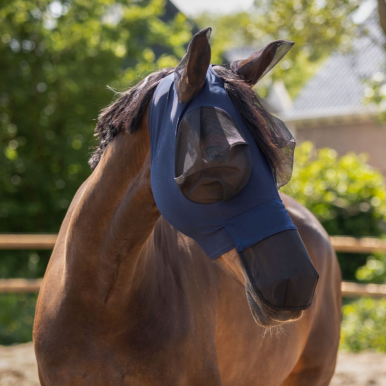 QHP Fly Mask (with ears, nose protection and zipper) Super bug - 2