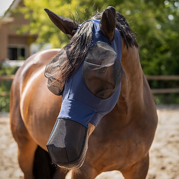 QHP Fly Mask / flughuva (med öron, nosskydd och dragkedja) Super Bug - från shettis till kallblod