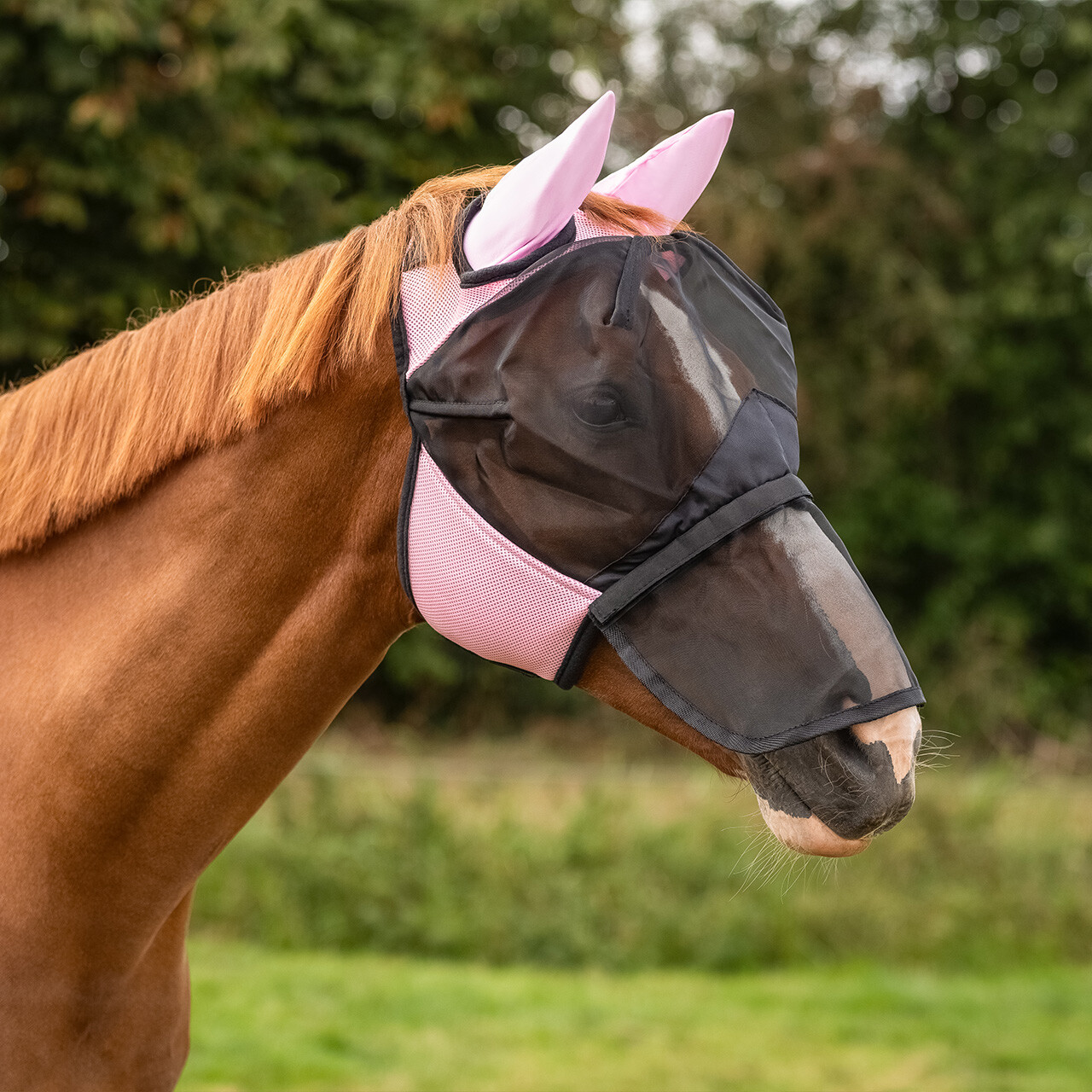 Fly mask QHP with removable nose guard, pink - 3