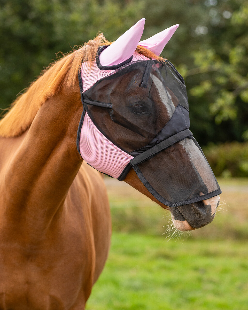 Fly mask QHP with removable nose guard, pink - 2