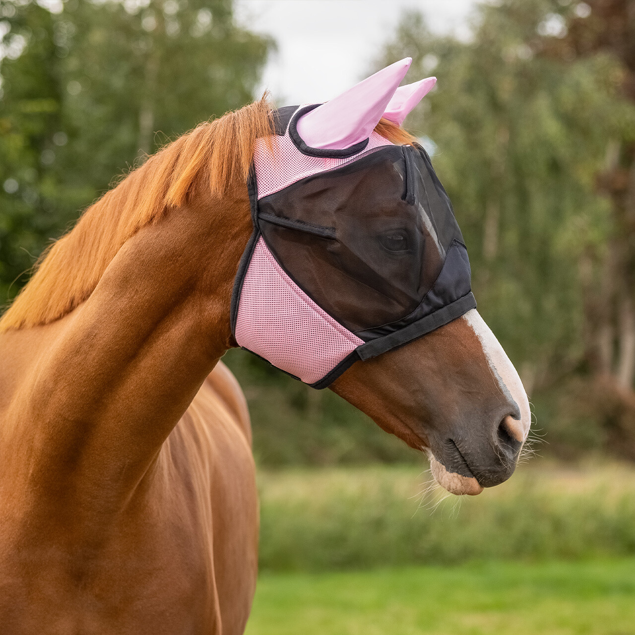 Fly mask QHP with removable nose guard, pink