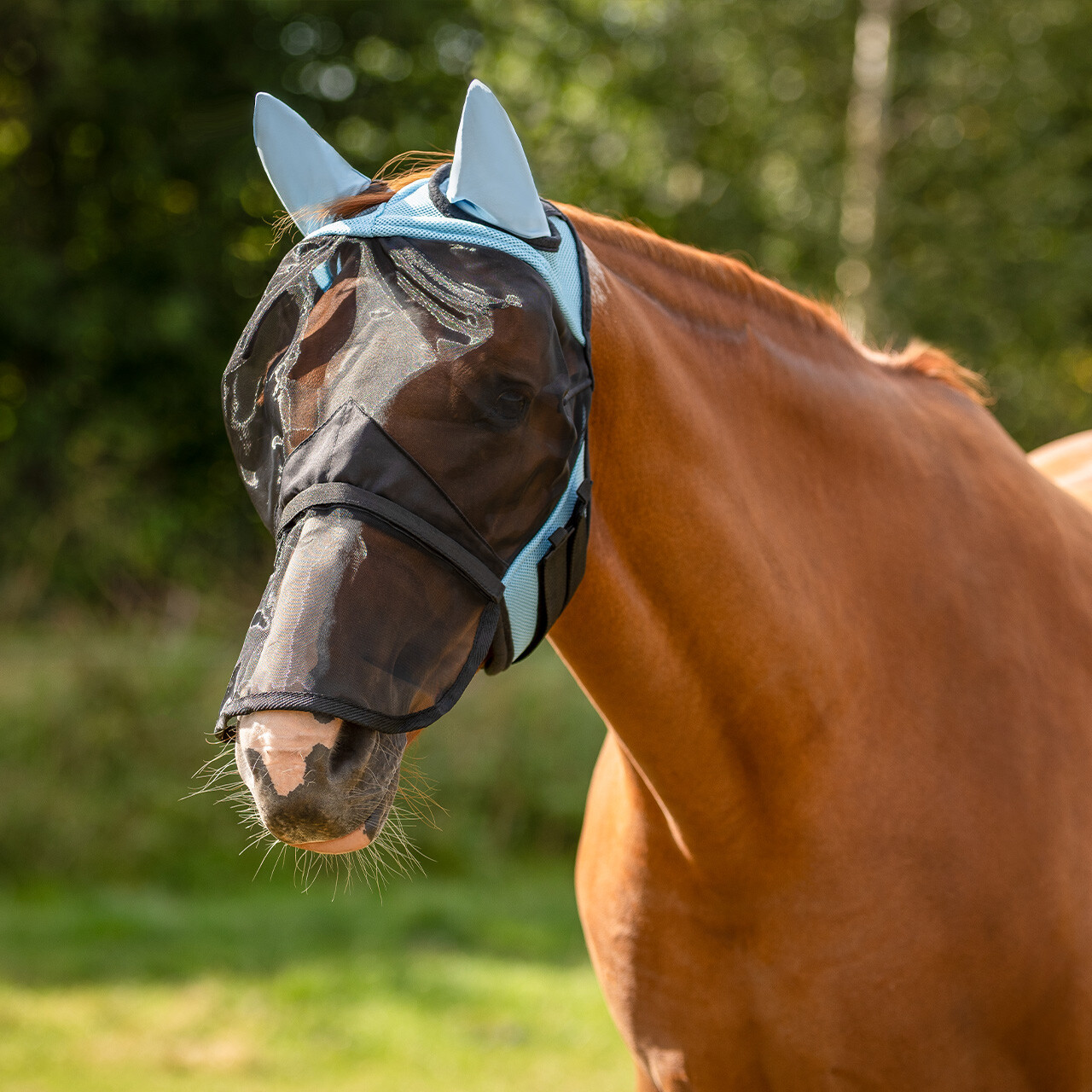 Fly mask QHP with removable nose guard, light blue - 3