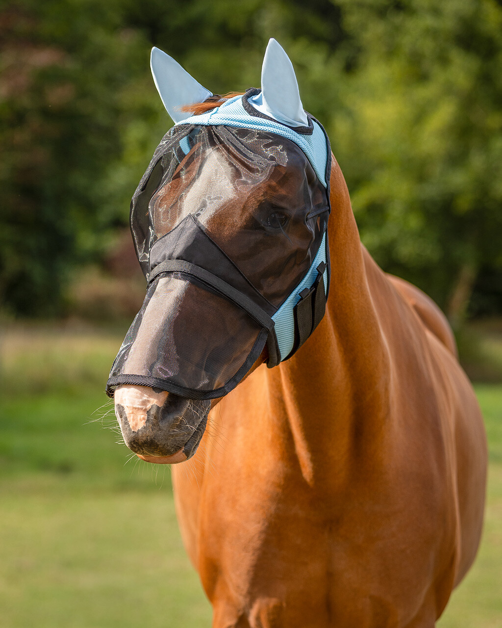 Fly mask QHP with removable nose guard, light blue - 2