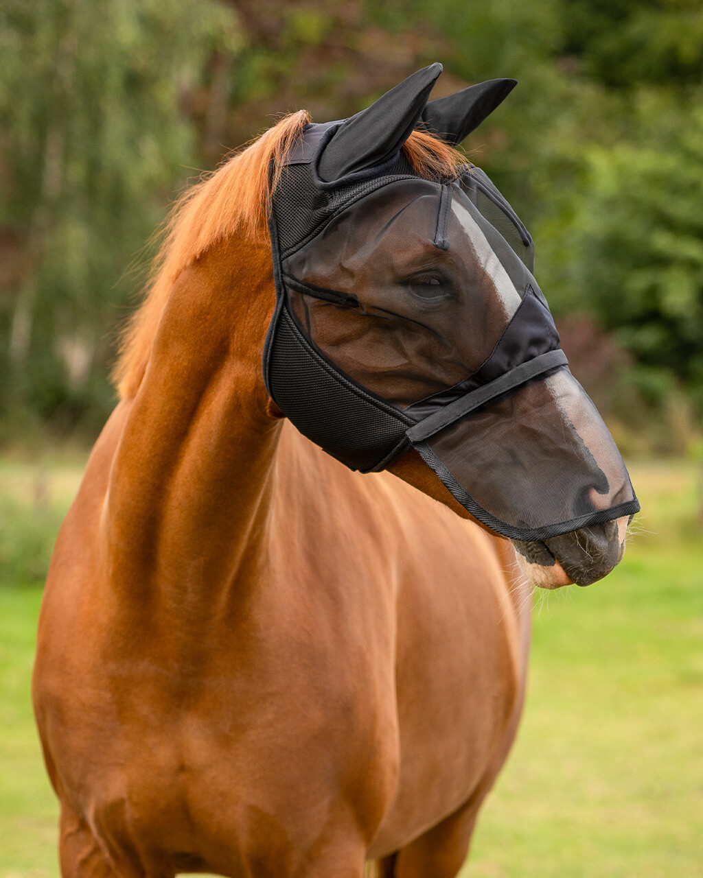 Fly mask QHP with removable nose guard, black - 2