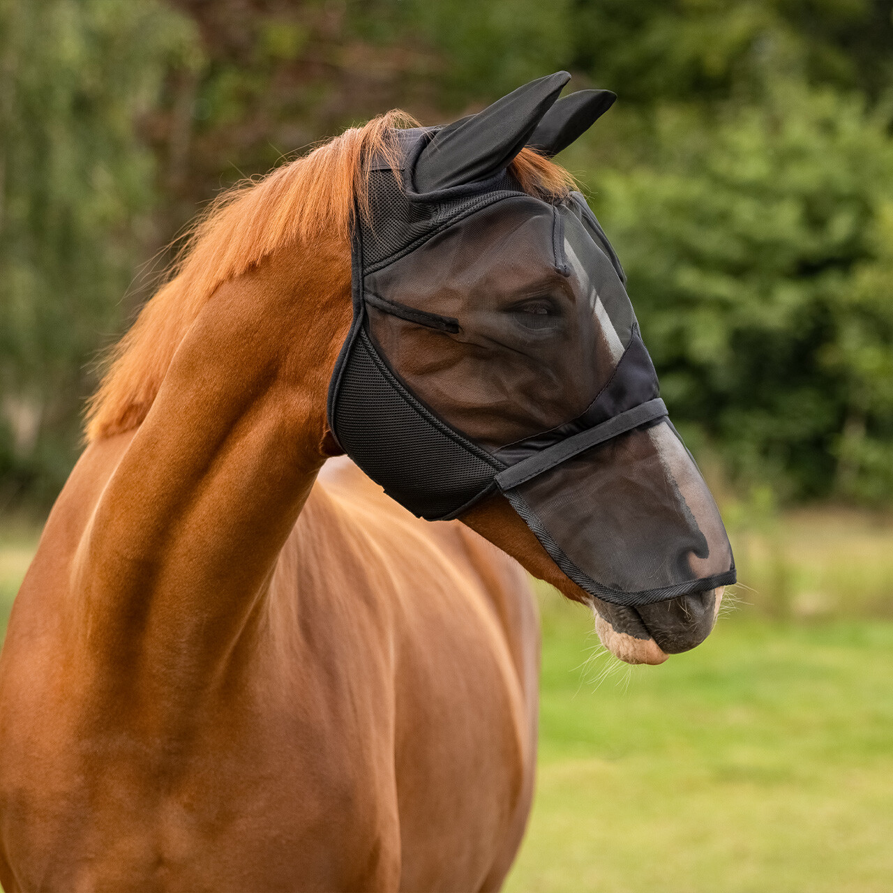 Fly mask QHP with removable nose guard, black - 3