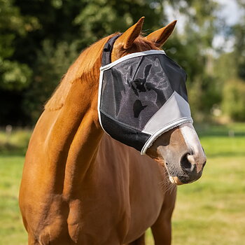 QHP Flughuva Solaire utan öronskydd (shettis upp till X-Full)