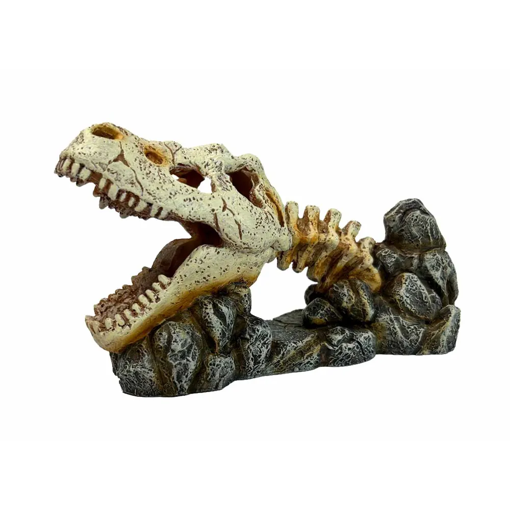 Ozami Dragon Skull 19.8x8x11cm