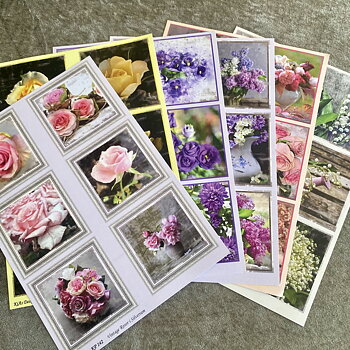 15 års JUBILEUM  ERBJUDANDE -Klippark 6 st med olika blommor 