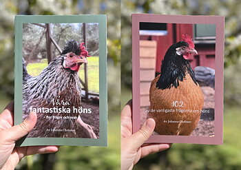 Paketpris böckerna: "102 av de vanligaste frågorna om höns" & "Våra fantastiska höns - fler frågor och svar". (Tryckta böcker)