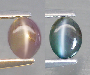 0.26 ct extremt ovanlig hög kvalitets äkta naturlig kattöga alexandrit ädelsten