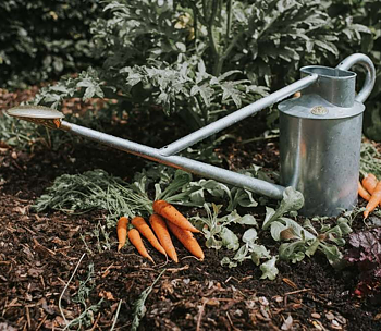 Vattenkanna Haws The Warley fall Zinc 9 liter