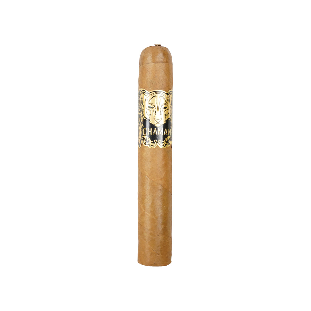 Vegas de Santiago Chaman Robusto - 2