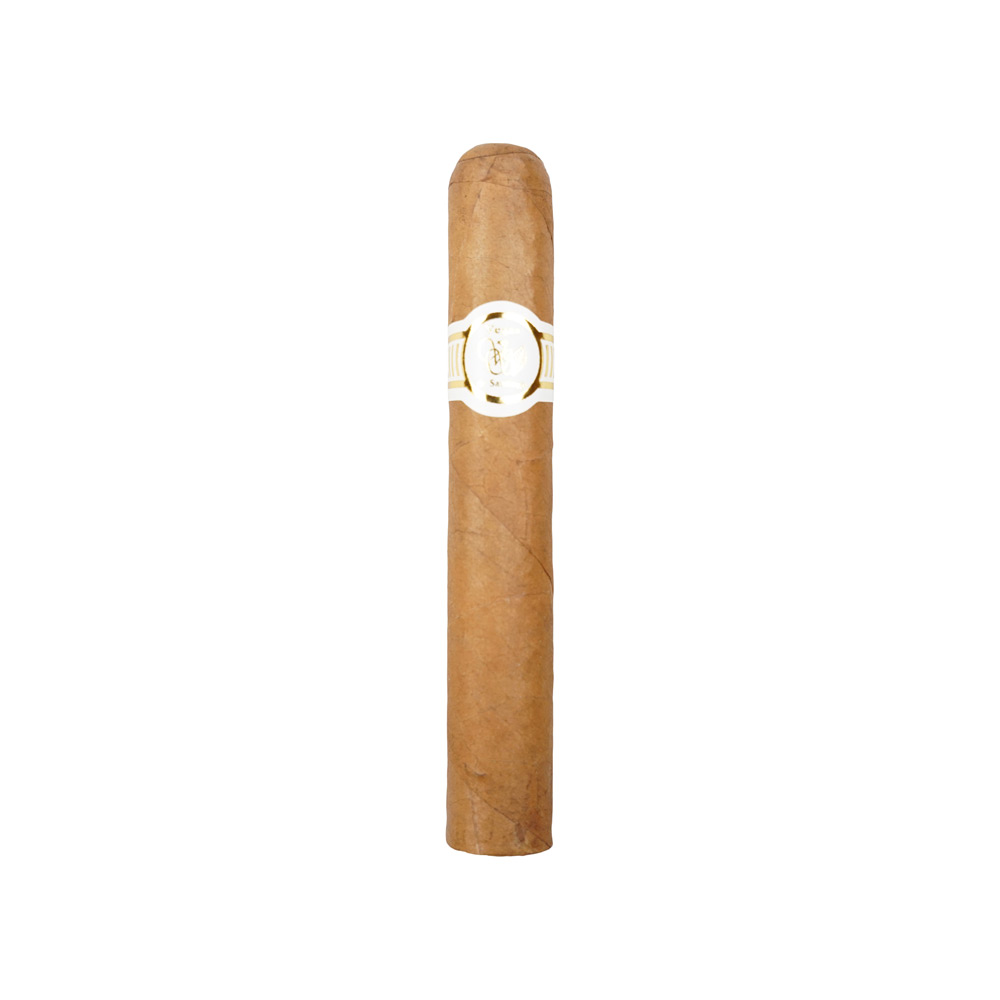 Vegas de Santiago White Label Robusto - 2