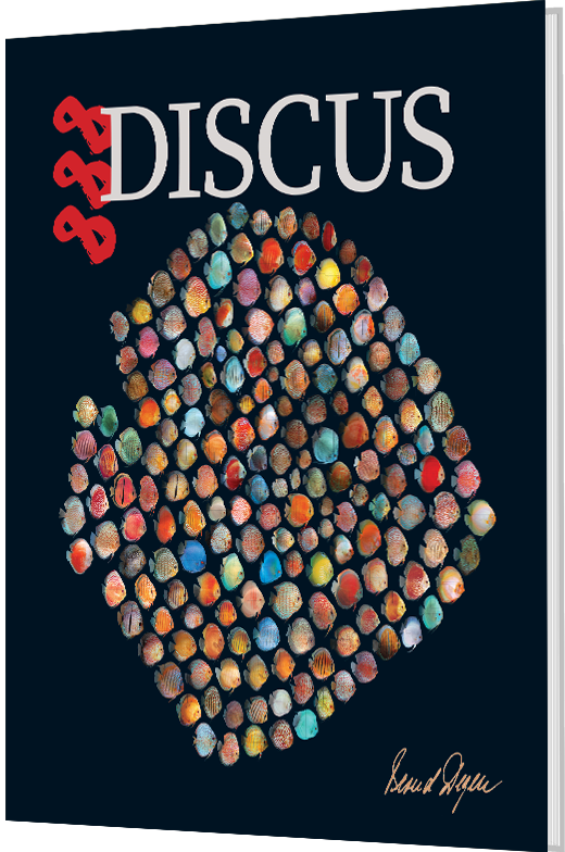 888 Discus  (Bernd Degen)
