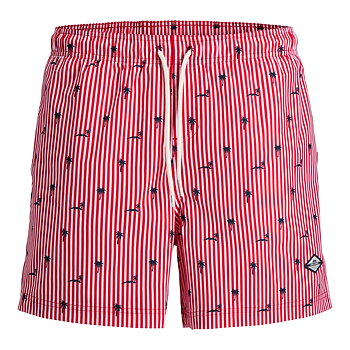 Jack & Jones Maui Breeze Mini Stripe