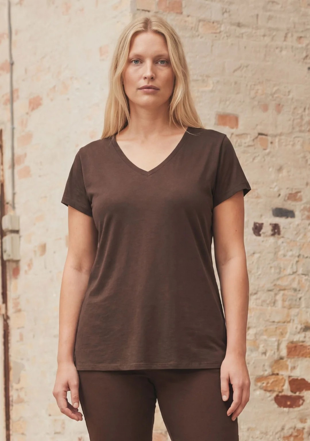 Nugga V-Neck T-Shirt - Dark Brown - Isay