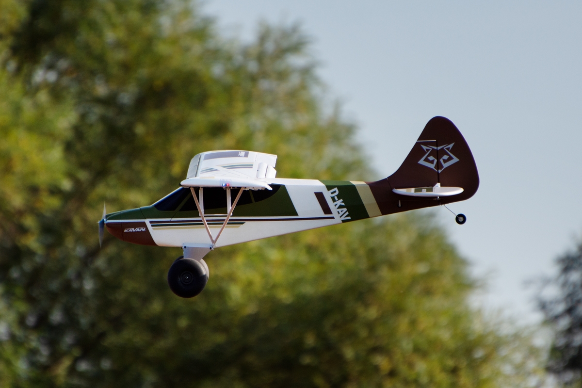 Kavan Norden 1600mm ARF - bush - 17