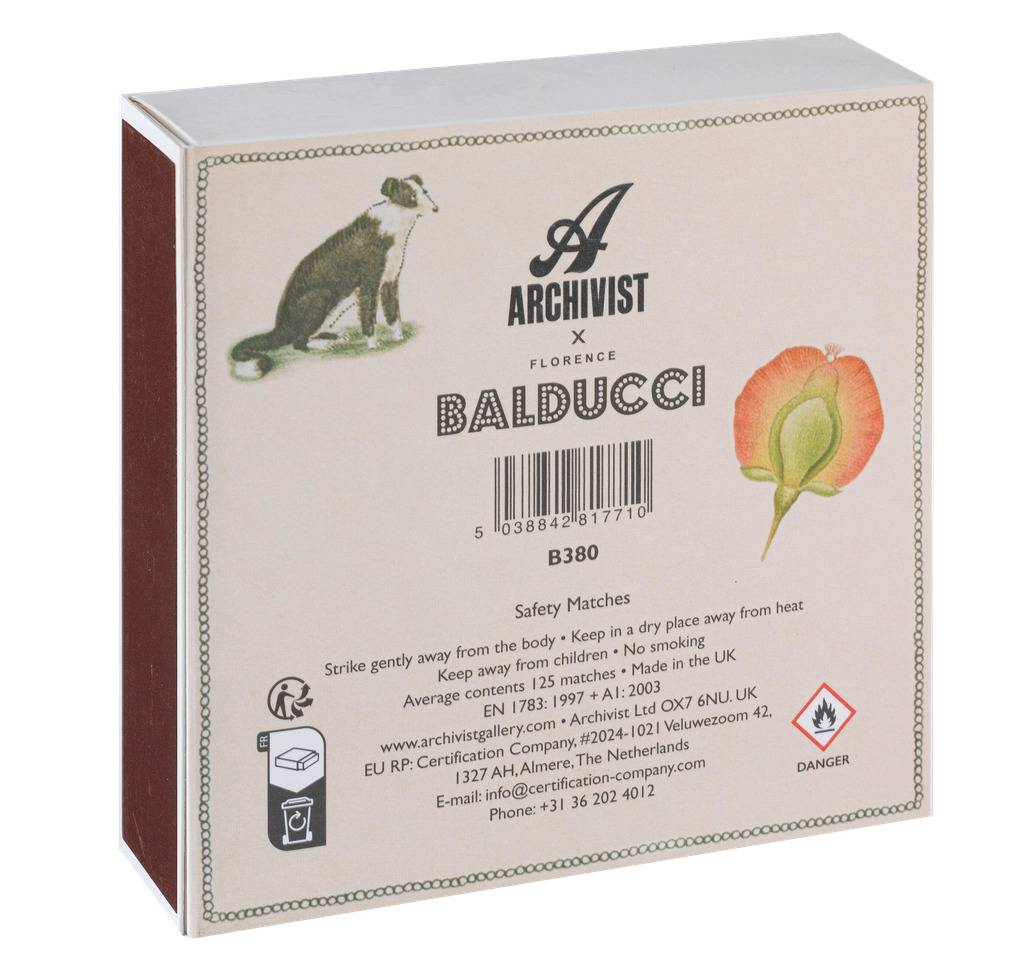 Tändstickor Fjällsyra Chien Botanical drawing matches, Archivist - 3