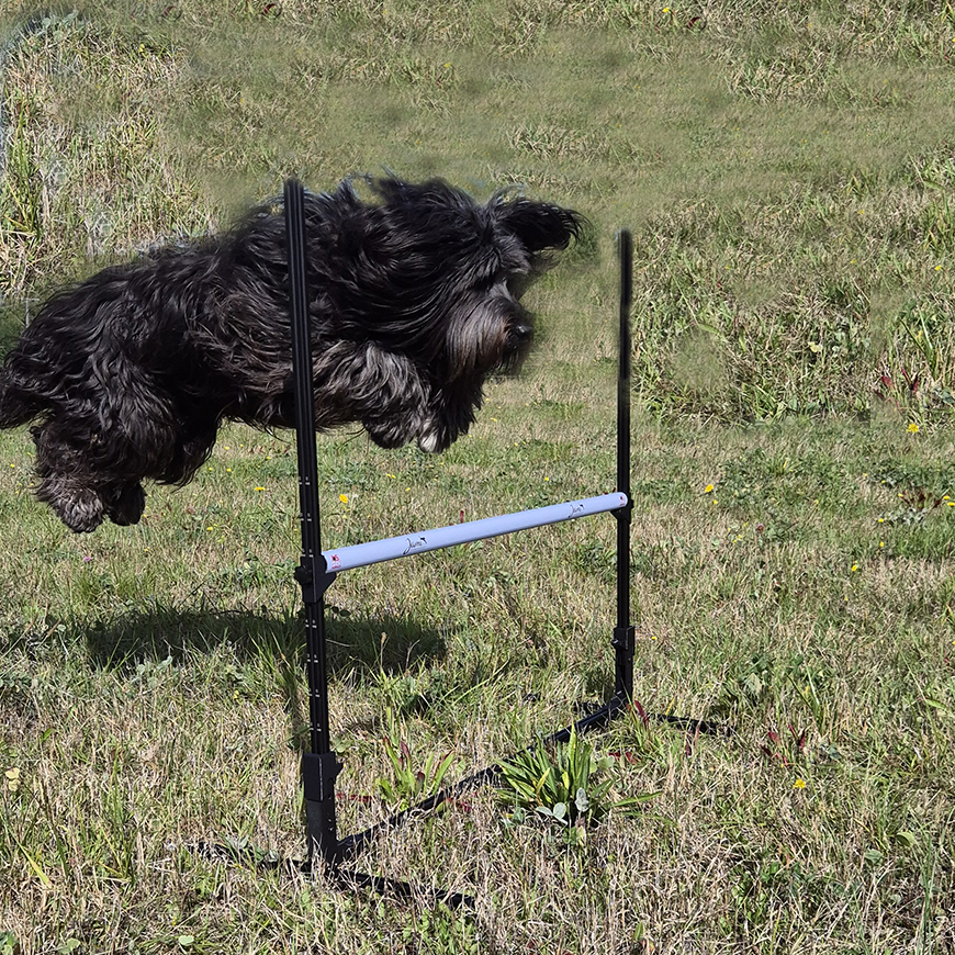 Hurdles for obedience open 2 -pack