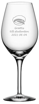 Orrefors - Kosta Boda More - Vinglas