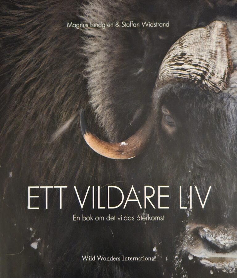 Ett vildare liv