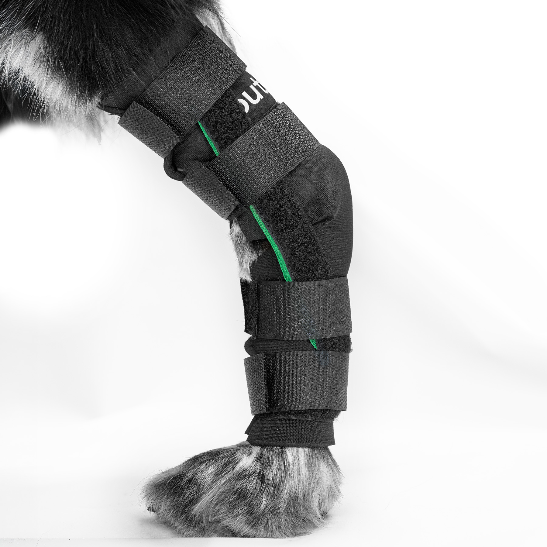 Out-n-out® Hock Stabilizer | Yulex® Hock Support for Dogs