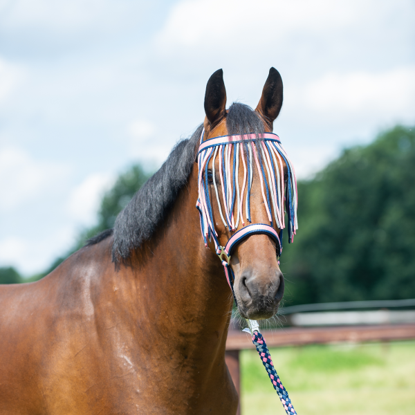Anti-fly string browband Busse - 4