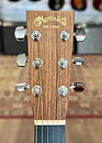 Martin DCPA4 Shaded med Martin hardcase