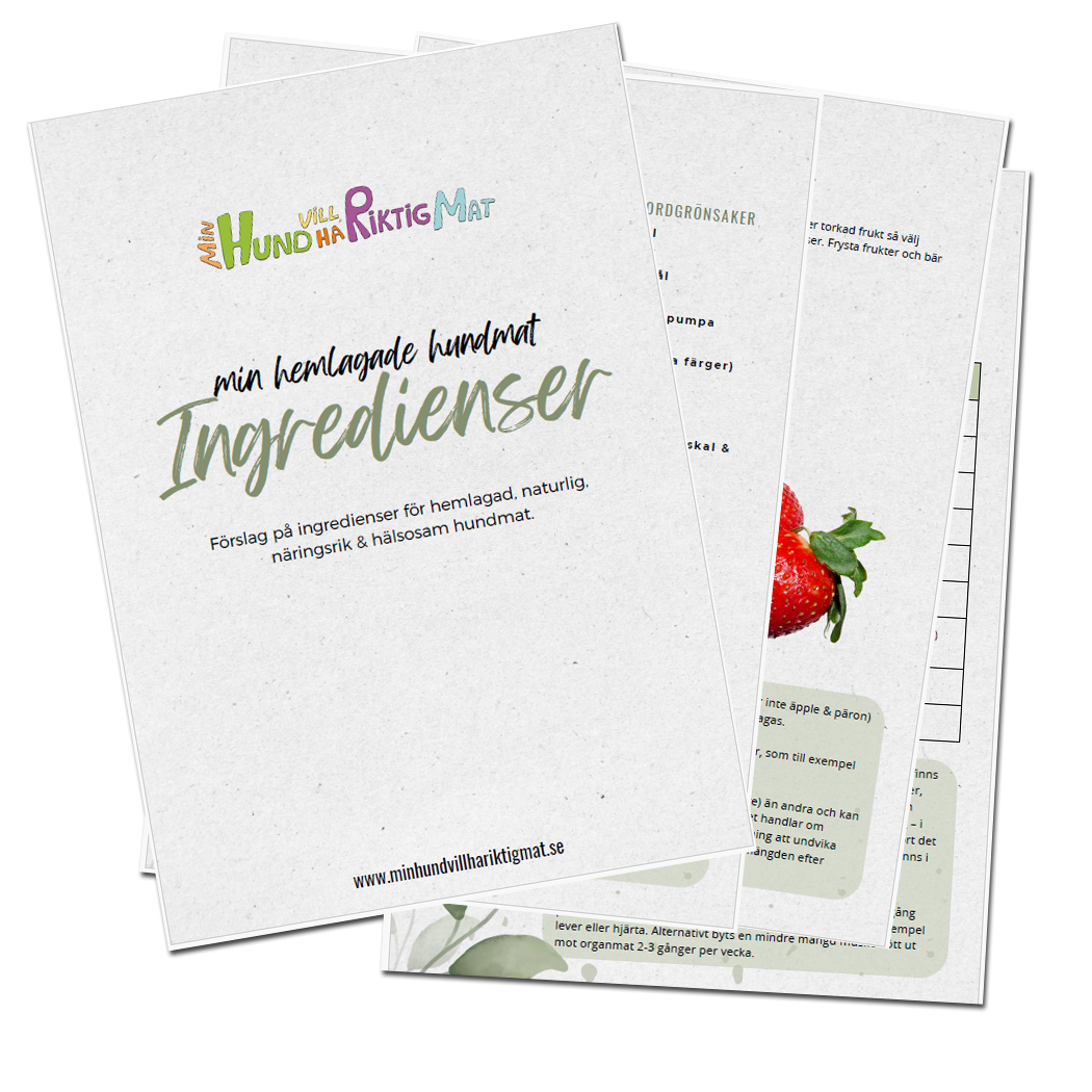 Förslag på ingredienser för den hemlagade hundmaten (pdf-fil för nedladdning)