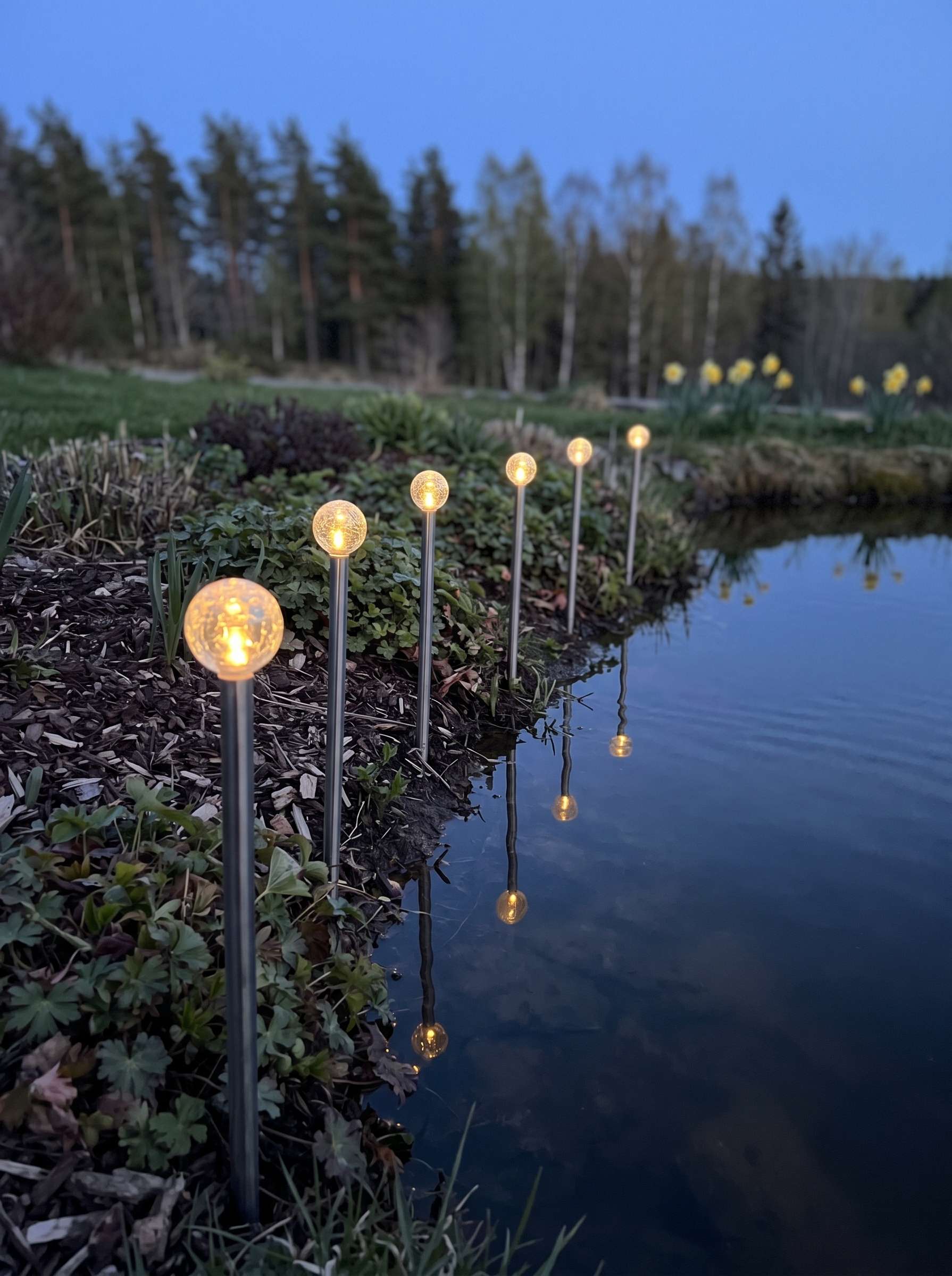 Bubbly solar garden decoration with crackle-glass globes glowing warm white along a flowerbed beside a still pond at dusk