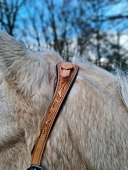 Bitless Bridle Anatomical, Edix© Rose, natur