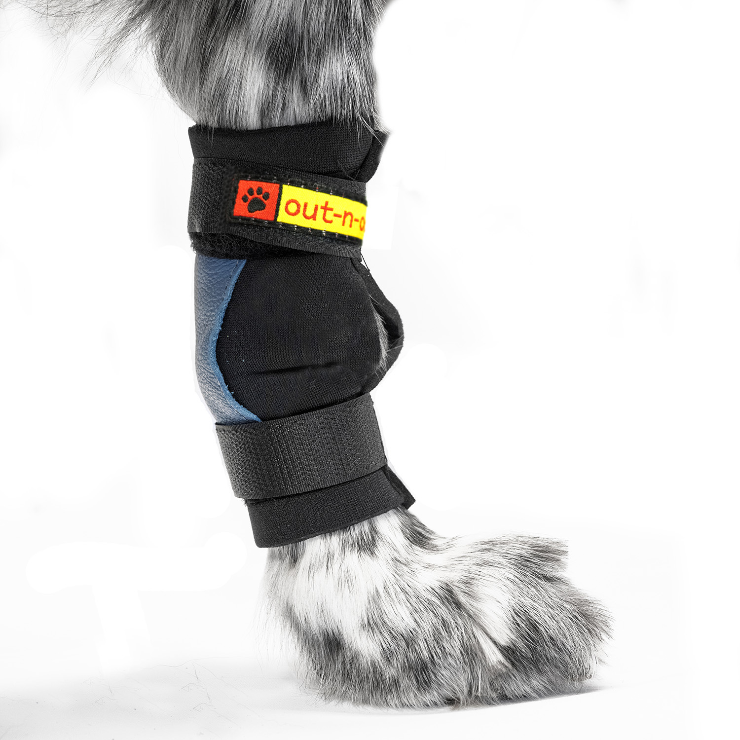 Out-n-out® Carpal Pad protection | Yulex® Skydd för Karpaldyna