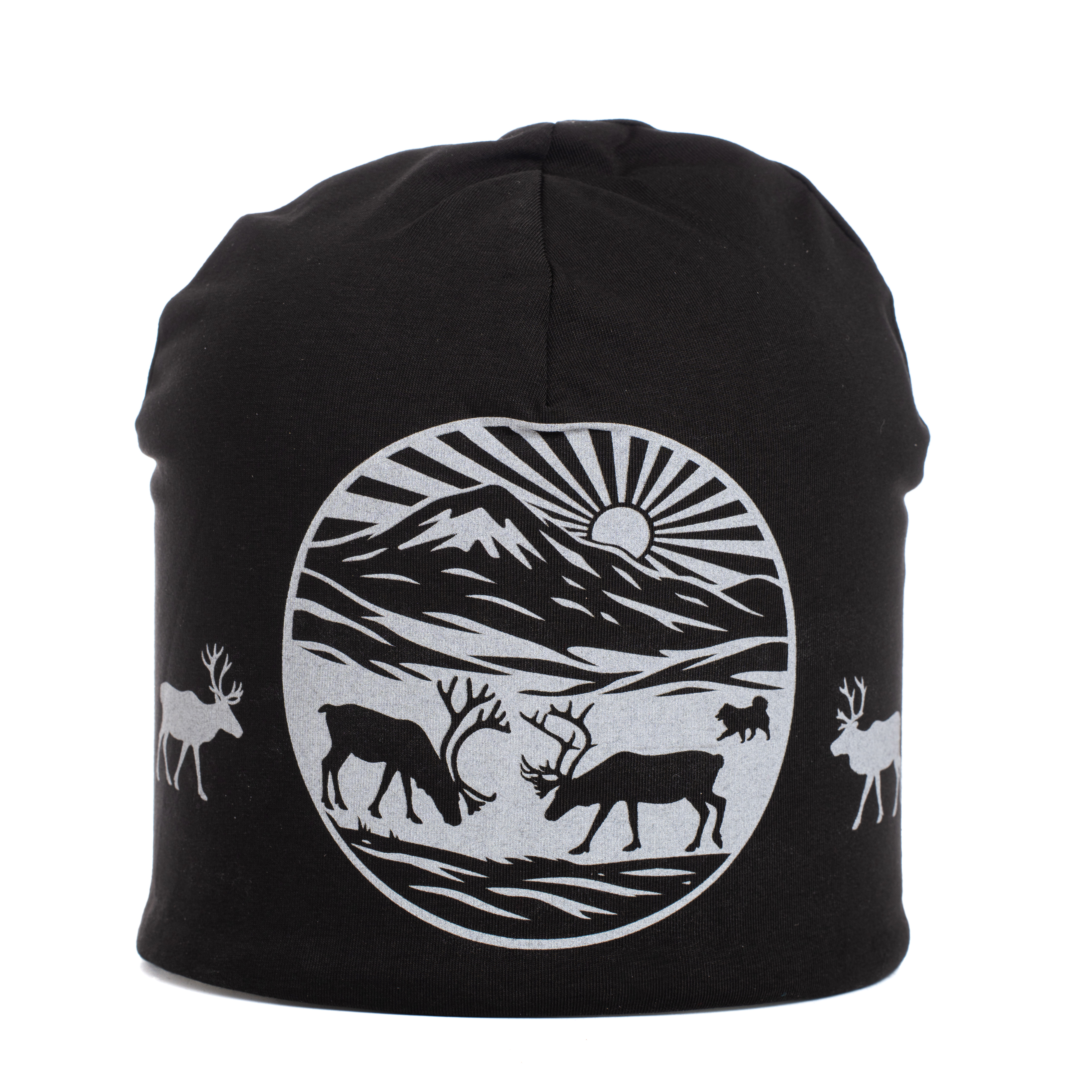 Reflective beanie winter Into the Fjäll black