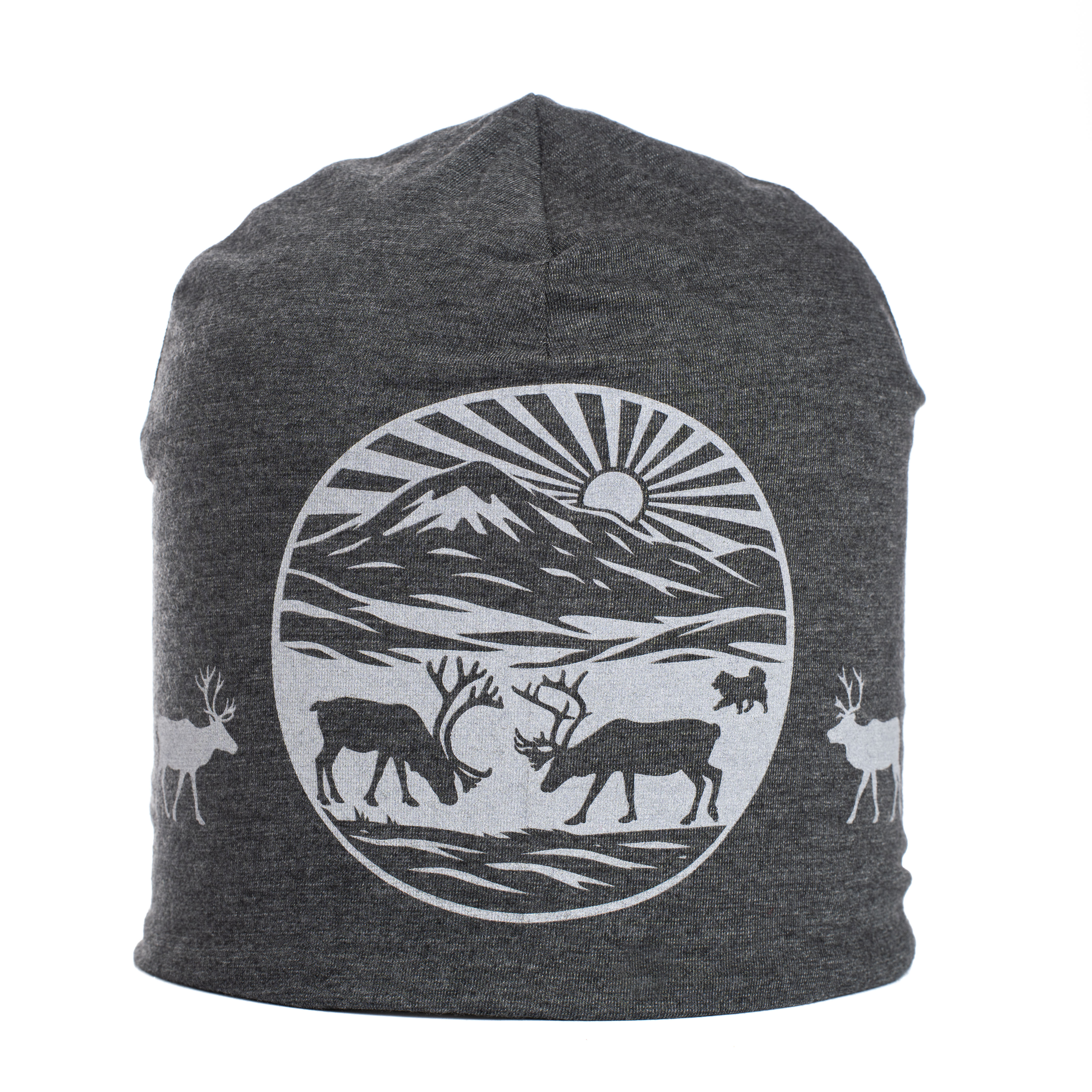 Reflective beanie winter Into the Fjäll grey